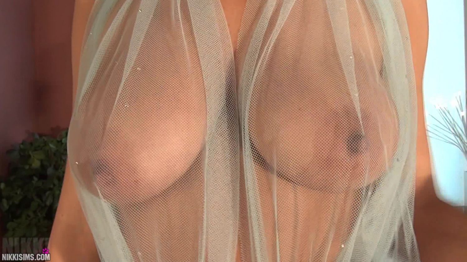 Nikki Sims Big Tits Totally Sheer