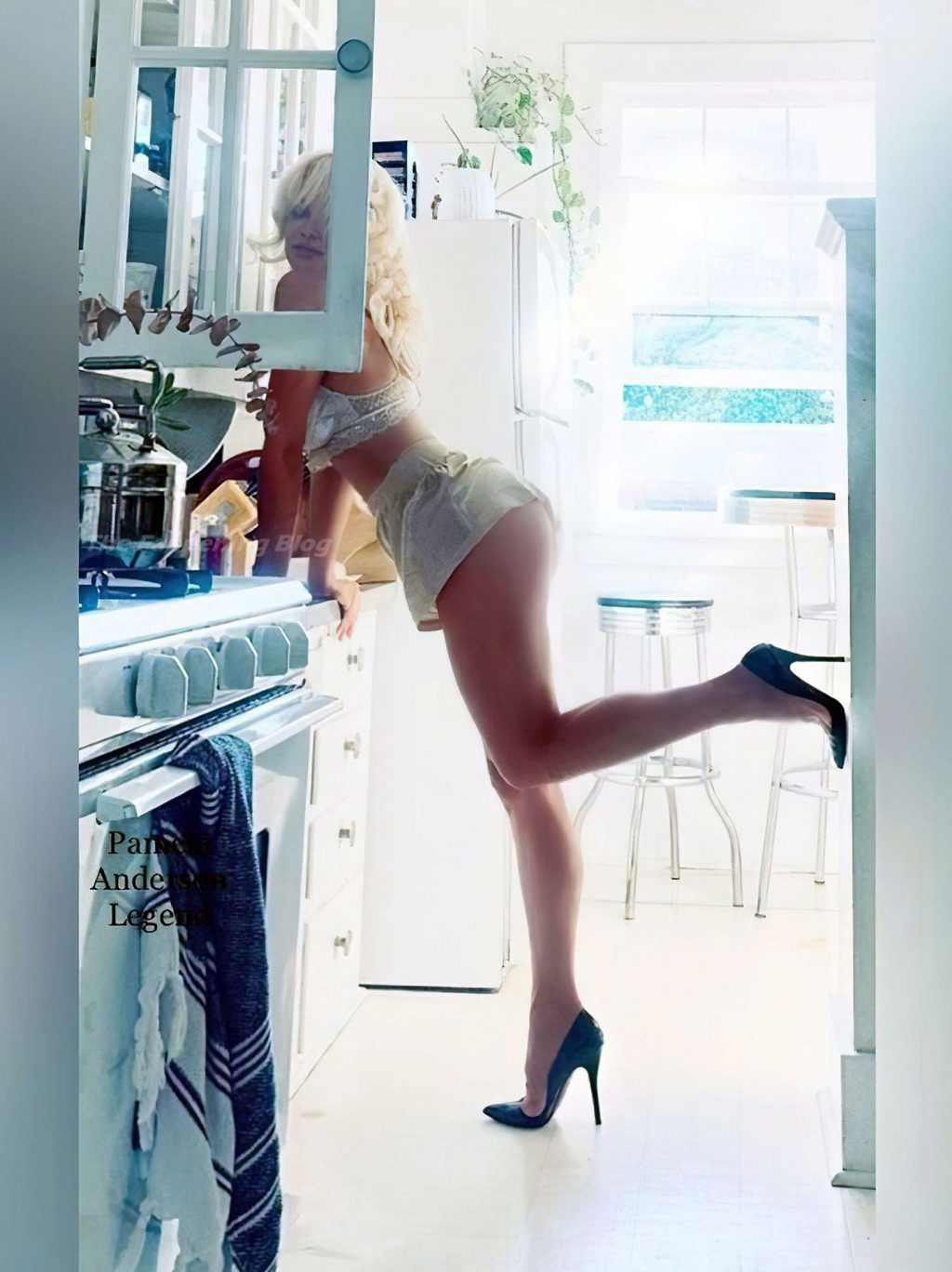 Pamela Anderson nude sexy bikini feet ass tits pussy ScandalPost 31
