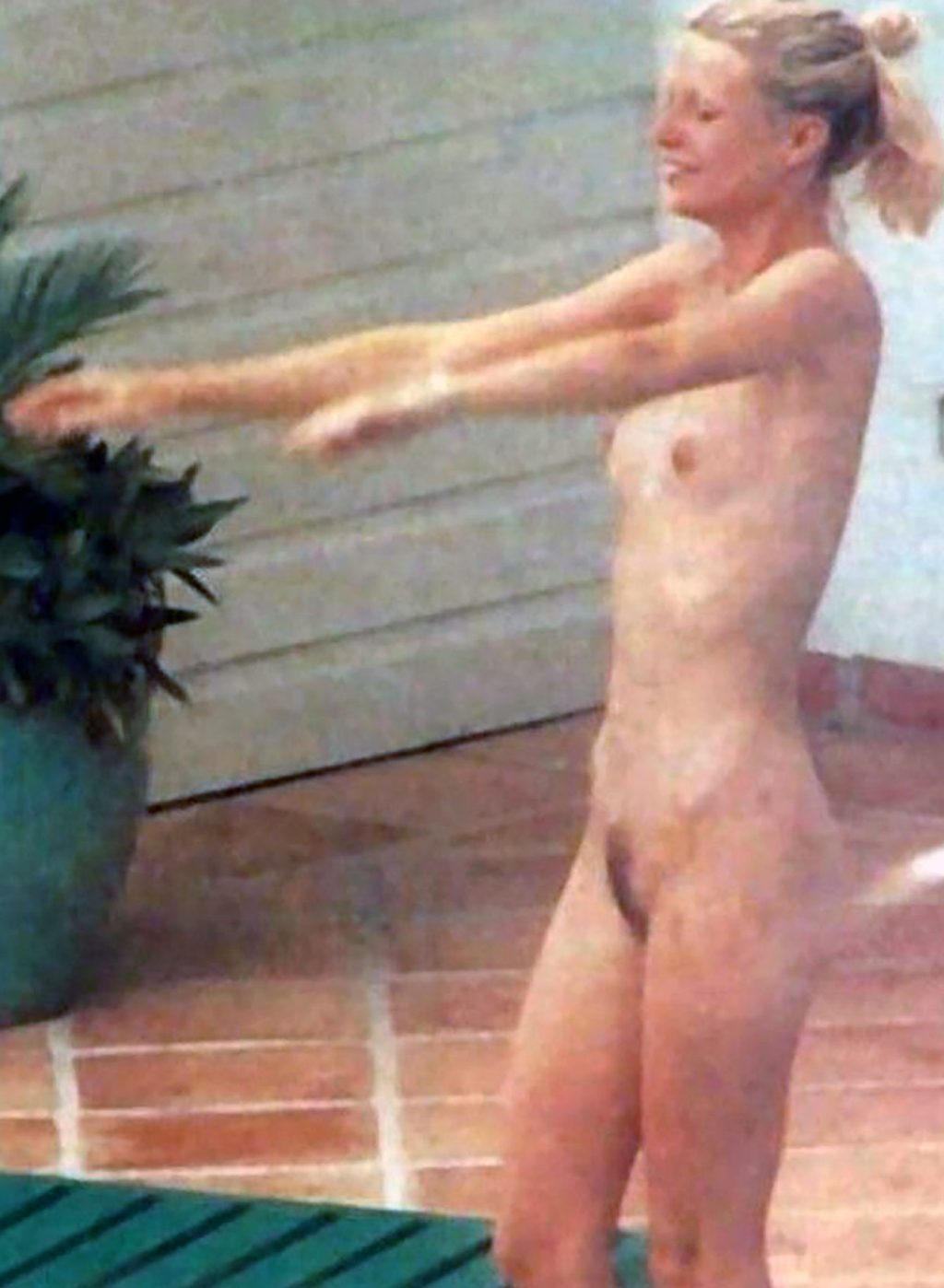 Gwyneth Paltrow nude ass topless feet bikini new ScandalPost 11