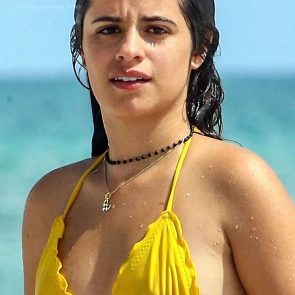 Camila Cabello naked fat bikini topless ScandalPost 21 295x295 optimized