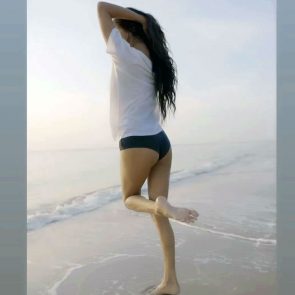 Poonam Pandey nude ass tits feet bikini new leaked sextape ScandalPost 16 295x295 optimized
